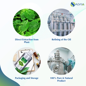 Vente en gros en vrac 100% huile essentielle d'épinards pure et naturelle emballage personnalisé bas prix - Product Image 4