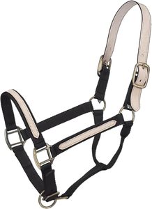 Licou de cheval de gorge de selle anglaise réglable de haute qualité disponible en rouge bleu noir avec boucles en étain cuir de finition dorée - Product Image 5