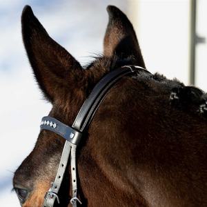 Bride de cheval en cuir véritable Fabricant de bride de cheval en cuir véritable coloré de luxe en Inde - Product Image 2