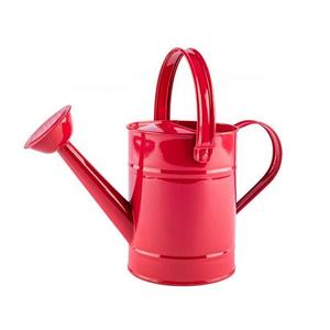 Hot Selling <b>Garden</b> Watering Can Fancy Design Galvanized Water Can Silver Color Flower Watering Can at Best Price - Product Image 2