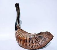 Corne de béliers moyenne Shofar coquille naturelle corne de buffle corne à boire Style animal poli décoration de la maison artisanat Technique brute