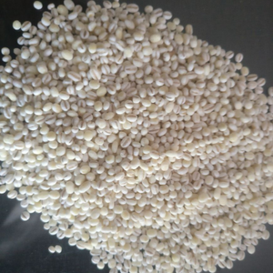 Semillas de Cebada/Cebada de alimentación animal/Granos de cebada a granel | Cebada perlada sin casco-Compre trigo duro a la venta-Granos de trigo integral secos - Product Image 2