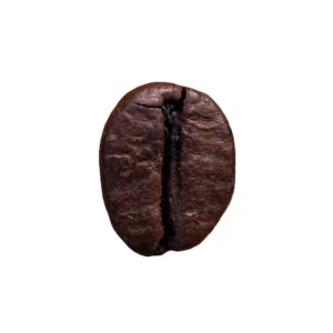 좋은 가격 Arabica Cau Dat S16 구운 목공 커피 콩 최고의 판매 커피 볶은 콩