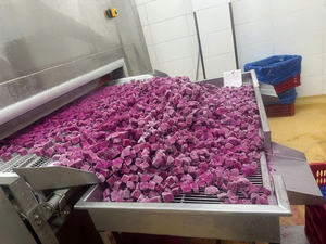 Fruit du dragon congelé du Vietnam, article en gros développé pour les marchés d'exportation à forte demande et le commerce à long terme - Product Image 3