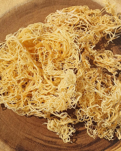 HIGH-QUALITY <b>DRIED</b> SEA <b>MOSS</b> EXPORTER 100% NATURAL SEA <b>MOSS</b> - Product Image 4