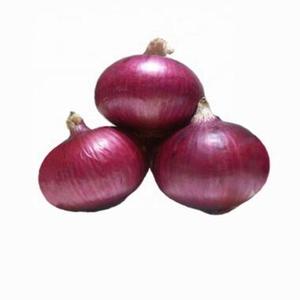 Oignon rouge frais de haute qualité avec peau, en gros, provenant de Thaïlande, nouvelle récolte, vente chaude à prix avantageux - Product Image 1
