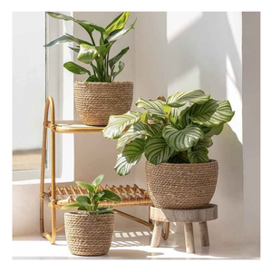 OEM/ODM Panier à fleurs suspendu tissé à l'herbe fait à la main Maison Salon Pot de plantation décoratif Service personnalisé - Product Image 2