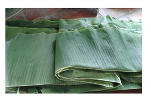 <b>Banana</b> Leaves Great Quality <b>Fresh</b> <b>Banana</b> Leaf 100% Natural High Quality Ecofriendly with Export Standard - Product Image 6