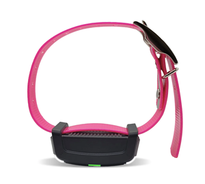Promotions sur les traceurs GPS pour chiens Garmins Alpha LTE - Product Image 2