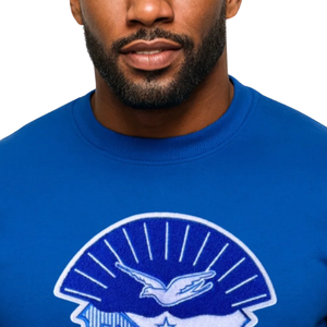 Sigma Shield Chenille Sweat Brodé Doux Premium Coton Grec Fraternité Vêtements Phi Beta Sigma Vêtements pour Hommes - Product Image 4