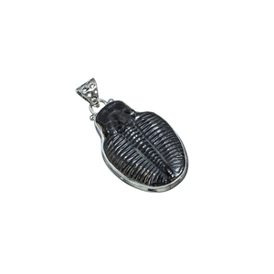 Colgante de piedras preciosas de Plata de Ley 925, a la moda Trilobite, joyería hecha a mano - Product Image 1