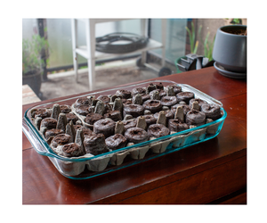 Coco <b>Coir</b> Disc Pellets Tablets for Seed Starting Plant Growing Eco Friendly Natural No Chemical Origin Vietnam - Product Image 4