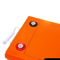 Nouvelle conception Batterie solaire AGM Gel à décharge profonde 12V 100Ah 2400Wh 21,5KG pour appareils électroménagers et systèmes de stockage d'énergie solaire