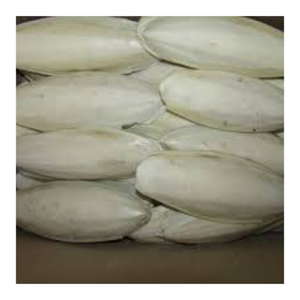 El mejor vendedor Cuttlebone blister de hueso de sepia seco disponible en Vietnam - Product Image 4