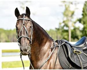 Ensemble de selle Western en cuir de vachette de qualité supérieure personnalisée conceptions légères de perles collier de poitrine Headstall Horse Tack Top Trending - Product Image 1