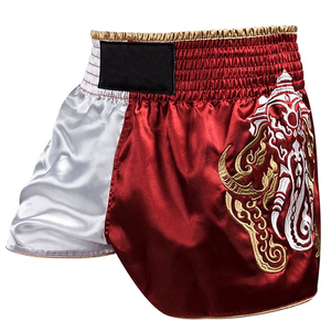 Shorts MMA légers et solides pour hommes, équipement de combat, vêtements d'entraînement de gym, respirant, séchage rapide, sports, kickboxing, BJJ, lutte, UFC, haute performance - Product Image 2