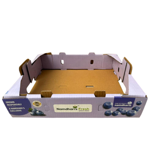 Caja de Cartón Corrugado de Alta Resistencia para Arándanos Frescos, Disponible para Suministro Mundial - Product Image 6