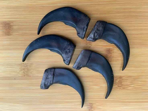 Nourriture pour chiens la plus vendue, nourriture pour animaux de compagnie naturelle à base de buffle d'eau, nourriture pour animaux de compagnie naturelle et saine, corne de buffle d'eau pour nourriture à mâcher pour chiens - Product Image 2