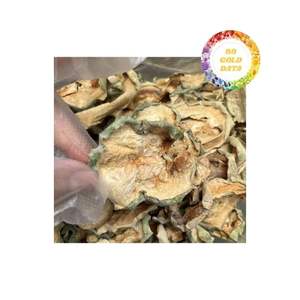 Melón de Invierno Deshidratado con Dulzura Natural y Consistencia Suave, Apto para Diversas Aplicaciones Culinarias y Té - Product Image 1