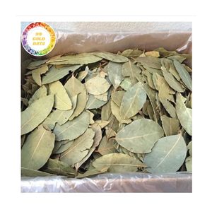 ชา Graviola/Guanabana ใบสะระแหน่แห้งออร์แกนิกบริสุทธิ์จากธรรมชาติ100% - Product Image 6