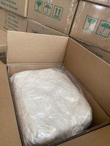 Nata de Coco cru de haute qualité-Fournisseur de confiance THIEN PHU de Viet Nam-Emballage en vrac-Nourriture saine en 2025 pour la boisson - Product Image 4