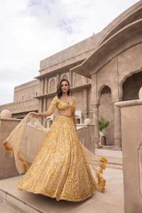 Magnifique collection de lehenga choli de soirée, dernière création, en fausse fourrure et matériaux recyclés, prête pour l'hiver/été - Product Image 4