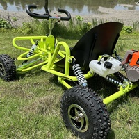 En stock, buggy de sport d'hiver, buggy de ferme, voitures pas chères pour adultes