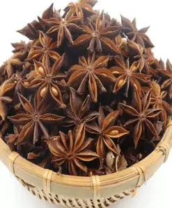 Peka star anise best quality Vietnam supplier Bunga Lawang low price Illicium verum new crop