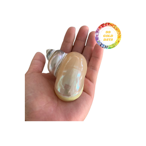 Elegantes servilleteros hechos a mano, accesorios de mesa de concha marina Natural Real para cenas y banquetes de lujo, estilo Ángel pulido - Product Image 1