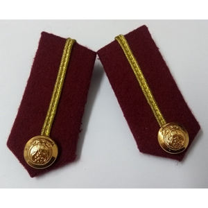 Parches de Gorgette para Uniformes de los Emiratos Árabes Unidos con Detalles de Hojas Plateadas, Botones de los Emiratos Árabes Unidos, Accesorios para Uniformes, Parche de Cuello de Gorgette - Product Image 2