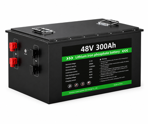 48V 300Ah LiFePO4电池 15.36kWh 深循环磷酸铁锂电池，用于太阳能存储、房车、船用、离网系统 - Product Image 1
