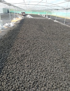Coconut Shell Charcoal Briquettes Pillow Shape High Density Natural Fuel for Barbecue Grill Restaurant and Hotel Catering - Product Image 6