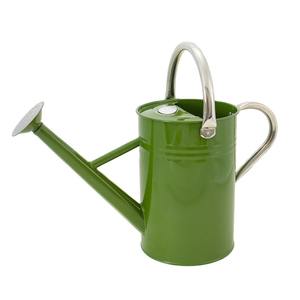 Arrosoir en métal de couleur verte avec poignée de bordure Conception durable pour l'entretien des plantes de jardinage Utilisation intérieure et extérieure - Product Image 1