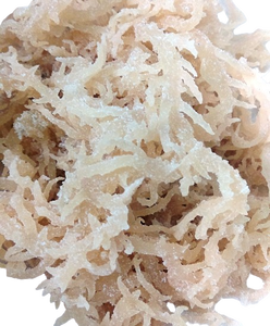 EXPORTATION DU VIETNAM MOUSSE DE MER D'IRLANDE SALÉE BLANCHE NATURELLE 100% SÉCHÉE DE QUALITÉ SUPÉRIEURE - Product Image 5