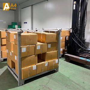 Khey Taladthai Whole Monthong Fresh Durian Grade 0.5kg <b>Box</b> Packed Handpicked 2-3 Weeks <b>Shelf</b> Life King Fruits - Product Image 3