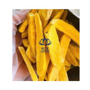 มะม่วงอบแห้งแช่แข็งจากเวียดนามเป็นตัวเลือกของว่างแสนอร่อยที่ให้ความสดใหม่ยาวนาน - Product Image 1