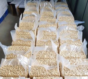 Nueces de Anacardo Enteras Orgánicas al por Mayor WW180, Secas y Frescas, Origen Vietnam, Grado Alimenticio W320/W240/W180 - Product Image 6