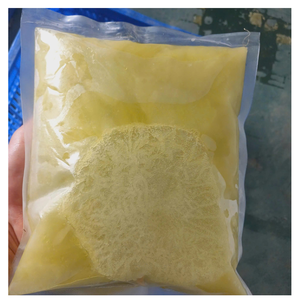 Frozen whole sugarcane sugarcane segments and sugarcane juice from Vietnam - Product Image 2