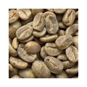 Arabica Catimor Reasonable Price Coffee Bean Wholesale Green Coffee Bean Oem Service Made In Vietnamese Manufacturer