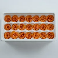 Kualitas Tinggi 2-3 Cm Diawetkan Bunga Mawar Kecil Abadi Nyata Kering Rose Bunga Kepala
