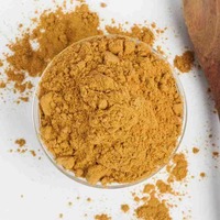 Poudre d'extrait de kaki pur en gros poudre d'extraction de meilleure qualité de fruits naturels de kaki
