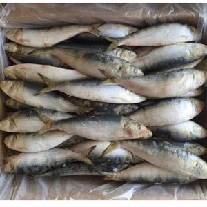 Low Price Supply Frozen Sardine <b>Fish</b> Frozen Whole Sardine - Product Image 2