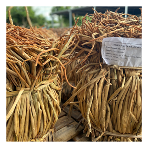 Precio al por mayor Natural Dry Long An, Hau Giang Material de jacinto de agua cruda para artesanías, jacinto de agua cruda vietnamita - Product Image 5