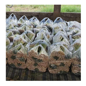 Venta al por mayor de hierba de limón congelada Iqf, hierba de limón picada y congelada en rodajas para platos asiáticos, hierba de limón congelada, productor de Vietnam - Product Image 1