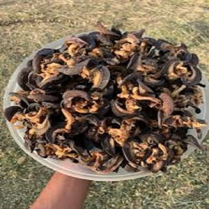 Acheter des escargots géants africains frais vivants ou des escargots transformés congelés avec une livraison rapide et un prix abordable auprès de sources fiables - Product Image 6