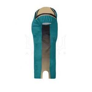 Uniforme de fútbol americano de nueva llegada Uniforme de fútbol americano más vendido Uniforme de fútbol americano juvenil de alto fabricante - Product Image 6