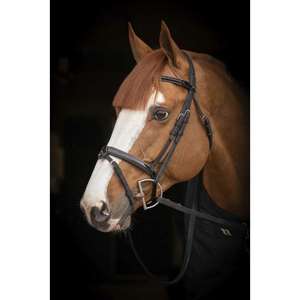 Fabricantes que venden brida de caballo de cuero genuino al por mayor diseño personalizado brida de caballo de cuero real de alta calidad - Product Image 2