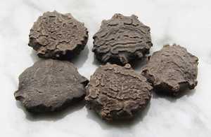 SUN-FRUIT GAC SEED / CLEAN BOTANICAL/BIENESTAR INMUNE/ALTA CALIDAD - Product Image 5