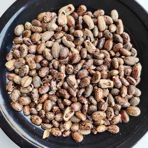 Produits agricoles Castor pour extrait d'huile - Product Image 4