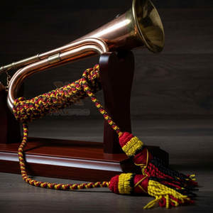 Cordones de Alta Calidad en Color Sólido, Precio Razonable, Venta Directa de Fábrica, Bajo MOQ, Marca Privada - Product Image 5